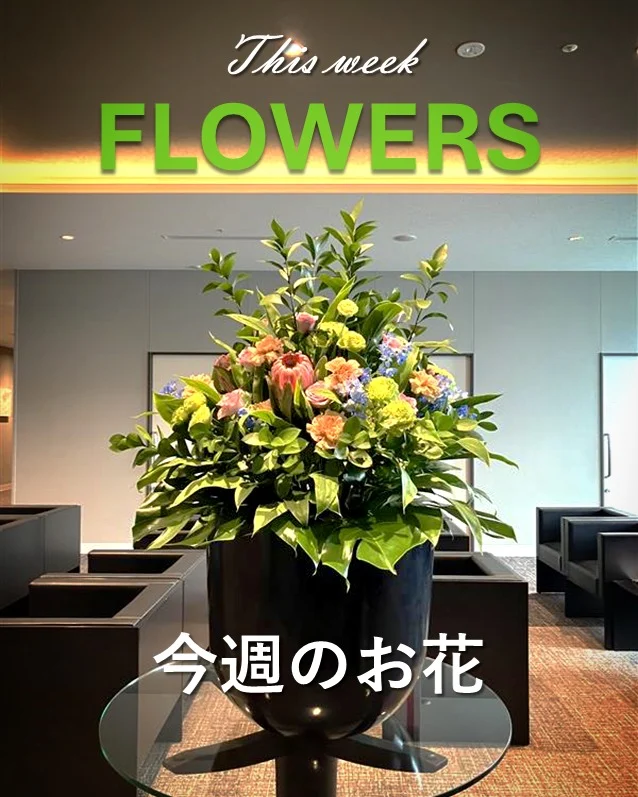 今週のお花🌹
・プロテア
・カーネーション
・デルフィニウム
・トルコキキョウ
・バラ

来院の際はぜひご鑑賞ください！
今週もはりきって開院しております💪
🩺ご予約はこちら
https://www.tdhospital.jp/reservation/
💬お気軽にお問合せください。
https://www.tdhospital.jp/contact/

---------------------------------------
🏥東京Dタワーホスピタル
東京都江東区豊洲6-4-20
診療時間
🕘9:00〜12:00 / 14:00〜17:30
休診日：土曜午後•日曜•祝日
⁡🩺各科診察日はこちら▽▼▽
https://www.tdhospital.jp/doctor-table/
🚃電車でお越しの方
ゆりかもめ『市場前駅』北口より徒歩4分
🚌バスでお越しの方
東京BRT『豊洲市場前』より徒歩5分
都営バス『市場前駅前』より徒歩1分
▽▼公式ホームページ▼▽
https://www.tdhospital.jp/

#東京dタワーホスピタル
#豊洲市場
#豊洲
#脳神経外科
#心臓血管外科
#循環器内科
#整形外科
#糖尿病内分泌内科
#一般皮膚科
#婦人科