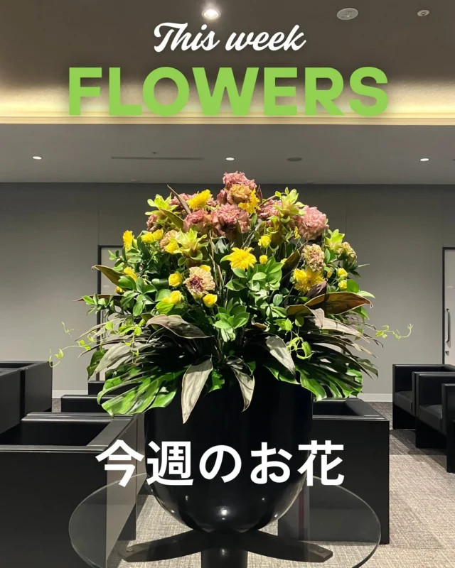今週のお花🌹
・クルクマ
・カーネーション
・ヒマワリ
・トルコキキョウ
・スプレーバラ

来院の際はぜひご鑑賞ください✨
今週もはりきって開院しております💪
🩺ご予約はこちら
https://www.tdhospital.jp/reservation/
💬お気軽にお問合せください。
https://www.tdhospital.jp/contact/

---------------------------------------
🏥東京Dタワーホスピタル
東京都江東区豊洲6-4-20
診療時間
🕘9:00〜12:00 / 14:00〜17:30
休診日：土曜午後•日曜•祝日
⁡🩺各科診察日はこちら▽▼▽
https://www.tdhospital.jp/doctor-table/
🚃電車でお越しの方
ゆりかもめ『市場前駅』北口より徒歩4分
🚌バスでお越しの方
東京BRT『豊洲市場前』より徒歩5分
都営バス『市場前駅前』より徒歩1分
▽▼公式ホームページ▼▽
https://www.tdhospital.jp/

#東京dタワーホスピタル
#豊洲市場
#豊洲
#脳神経外科
#心臓血管外科
#循環器内科
#整形外科
#糖尿病内分泌内科
#一般皮膚科
#婦人科