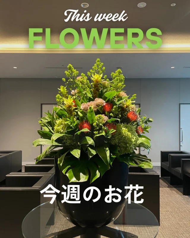 今週のお花🌹
・クルクマ
・ピンクッション
・フロックス(蕾)
・トルコキキョウ
・アジサイ

フロックスはまだ蕾なので、週末に咲くかも？？？
来院の際はぜひご鑑賞ください✨
今週もはりきって開院しております💪
🩺ご予約はこちら
https://www.tdhospital.jp/reservation/
💬お気軽にお問合せください。
https://www.tdhospital.jp/contact/

—————————————
🏥東京Dタワーホスピタル
東京都江東区豊洲6-4-20
診療時間
🕘9:00〜12:00 / 14:00〜17:30
休診日：土曜午後•日曜•祝日
⁡🩺各科診察日はこちら▽▼▽
https://www.tdhospital.jp/doctor-table/
🚃電車でお越しの方
ゆりかもめ『市場前駅』北口より徒歩4分
🚌バスでお越しの方
東京BRT『豊洲市場前』より徒歩5分
都営バス『市場前駅前』より徒歩1分
▽▼公式ホームページ▼▽
https://www.tdhospital.jp/

#東京dタワーホスピタル
#豊洲市場
#豊洲
#脳神経外科
#心臓血管外科
#循環器内科
#整形外科
#糖尿病内分泌内科
#一般皮膚科
#婦人科