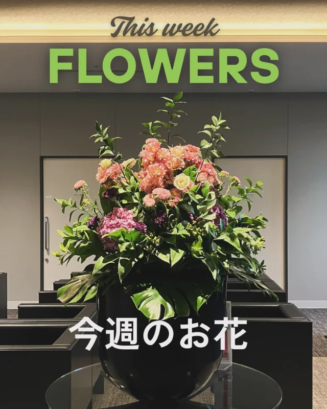 今週のお花🌹
・アスター
・ヒペリカム
・カーネーション
・トルコキキョウ
・アジサイ

来院の際はぜひご鑑賞ください✨
今週もはりきって開院しております💪
🩺ご予約はこちら
https://www.tdhospital.jp/reservation/
💬お気軽にお問合せください。
https://www.tdhospital.jp/contact/

—————————————
🏥東京Dタワーホスピタル
東京都江東区豊洲6-4-20
診療時間
🕘9:00〜12:00 / 14:00〜17:30
休診日：土曜午後•日曜•祝日
⁡🩺各科診察日はこちら▽▼▽
https://www.tdhospital.jp/doctor-table/
🚃電車でお越しの方
ゆりかもめ『市場前駅』北口より徒歩4分
🚌バスでお越しの方
東京BRT『豊洲市場前』より徒歩5分
都営バス『市場前駅前』より徒歩1分
▽▼公式ホームページ▼▽
https://www.tdhospital.jp/

#東京dタワーホスピタル
#豊洲市場
#豊洲
#脳神経外科
#心臓血管外科
#循環器内科
#整形外科
#糖尿病内分泌内科
#一般皮膚科
#婦人科